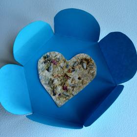 Färgfoto. Fröpapper i form av ett hjärta på blått papper klippt som en blomma.