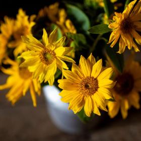 Färgfoto av gula blommor i vas. Foto: Skördefesten Åland