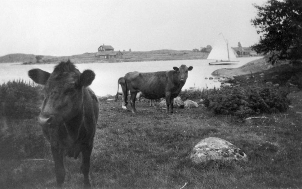 Sjökrogen på Gloskär troligen 1920-tal. 